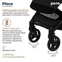 PITUSO коляска детская PERA (прогулочная)Black New/рама carbon/PU, фото 6