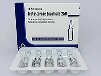 Тестостерон Энантат