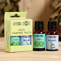 Добропаровъ - Набор эфирных масел 2 шт "Эвкалипт, Мята" по 15 мл