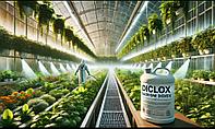 Дезинфекция и защита теплиц от бактерий, грибков и плесени DiClox