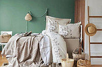 Комплект 2-спальный ранфорс, : 50x70 см