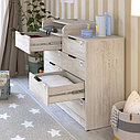 PITUSO Комод серия Kids Optimum ЛДСП Сосна касцина, фото 2