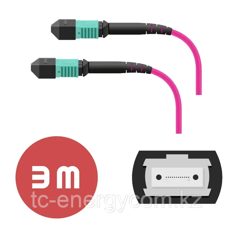 Патч-корд MPO/UPC FF 12F MM OM4 LSZH - 3м, фото 1