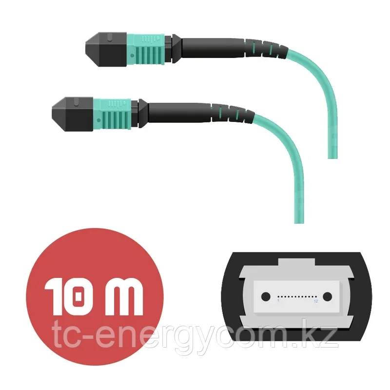 Патч-корд MPO/UPC FF 12F MM OM3 LSZH - 10м, фото 1