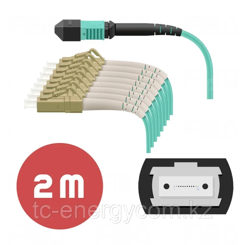 Патч-корд MPO/UPC-8LC/UPC MM OM3 LSZH - 2м, фото 1