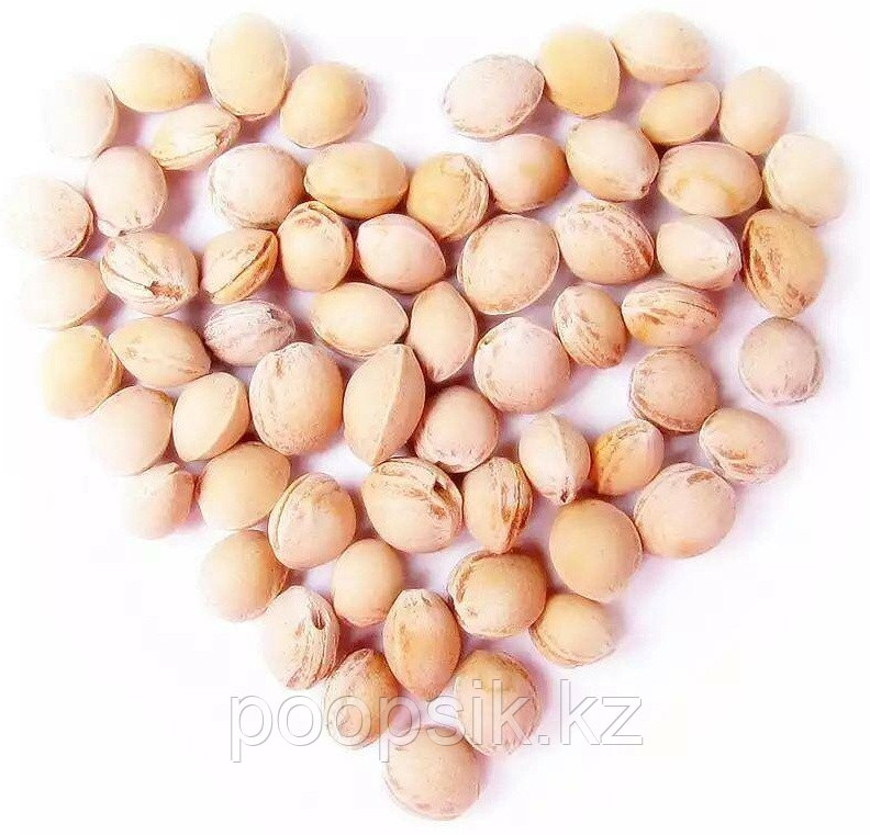 Игрушка-мялка Мякиши Енот