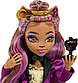 Кукла-модель Mattel Clawdeen Wolf 27 см, фото 6