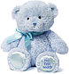 Мягкая игрушка Gund МОЙ ПЕРВЫЙ MЕДВЕЖОНОК, высота 38 см, голубой, фото 2
