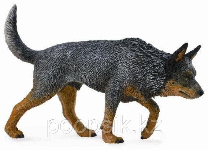 Collecta Австралийская пастушья собака 88672b