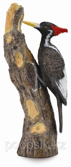 Collecta 4892900888026 Белоклювый Дятел L