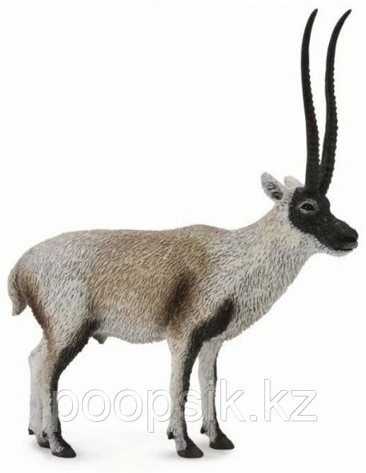 Collecta Антилопа 88721