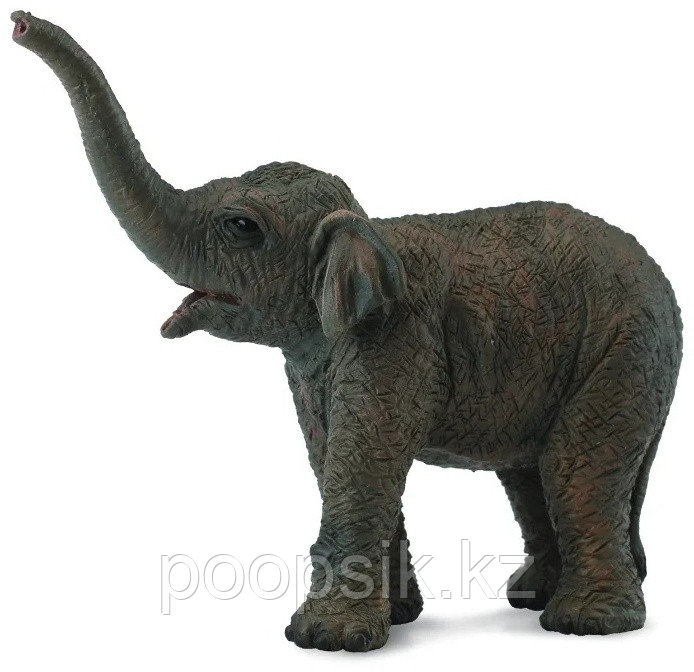 Collecta Азиатский слонёнок 88487