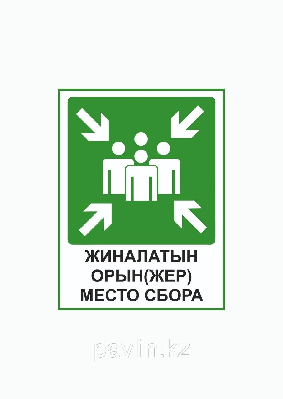 Табличка "Место сбора", 21×29 см, ПВХ 3 мм, двусторонний скотч, фото 1