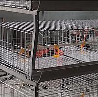 Клетки для содержания кур-несушек