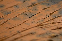 Клинкерная плитка в Алматы и Астане | Купить с доставкой — Kazort Industry