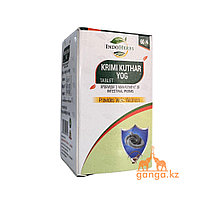 Крими кутхар от паразитов (Krimi Kuthar Ras tablet INDOHERBS), 60 таб