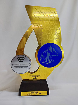 Кубок для зимних видов спорта