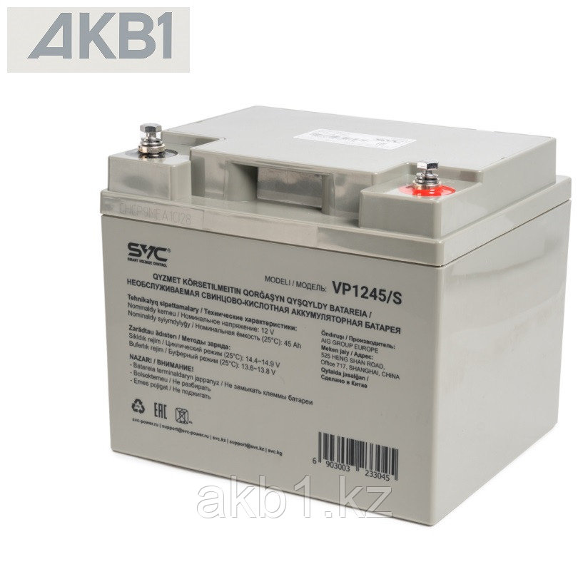 Аккумуляторная батарея SVC VP1245/S ( 12В 45 Ач | ШхГхВ, мм, 198х166х169 | Масса (± 3%), 14.3 кг ), фото 1