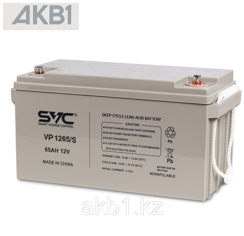 Аккумуляторная батарея SVC VP1265/S ( 12В 65 Ач | ШхГхВ, мм, 350х166х178 | Масса (± 3%), 19.8 кг ), фото 1