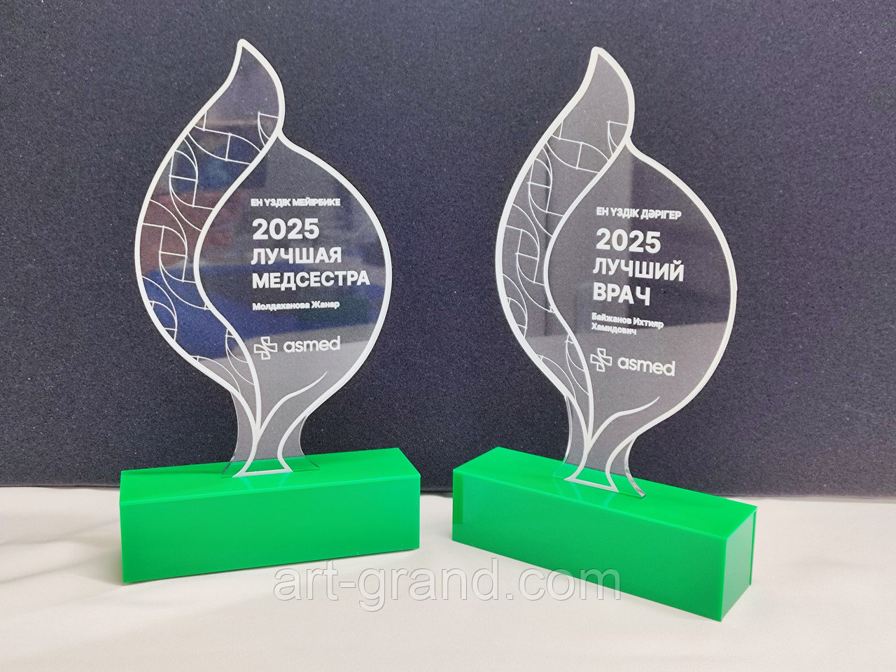 Награды: лучший врач, лучшая мед.сестра, фото 1