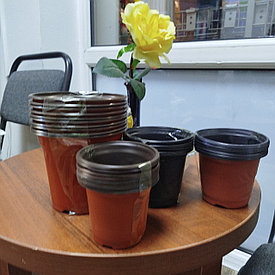 Бір рет қолданылатын көшет өсіретін құмыра үлкен Қытай 10шт 0263