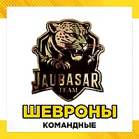 Шевроны, нашивки командные на липучке