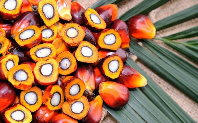 Рафинированное, отбеленное и дезодорированное пальмовое масло Рафинированное, отбеленное и дезодорированное пальмовое масло