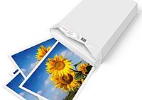 Бумага Xerox ColorPrint Coated Silk 250 SRA3 (450L80038) белый 250 листов