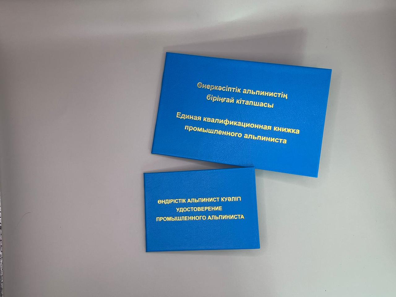 Единая квалификационная книжка промышленного альпиниста / Удостоверение промышленного альпиниста - фото 1 - id-p127962148