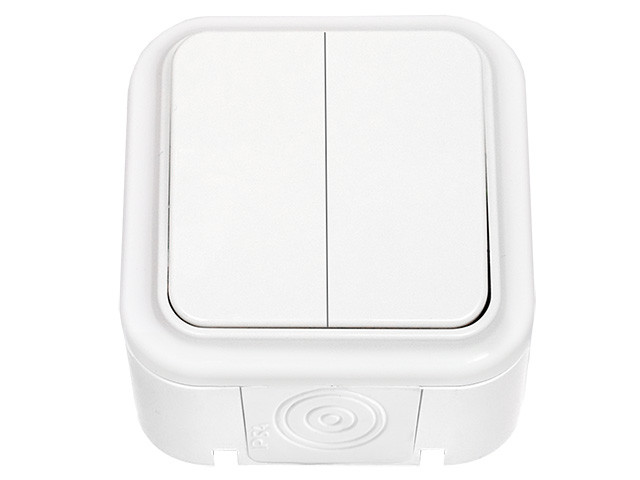 Выключатель 2 клав. (открытый, 10А, брызг. защ.) белый, Пралеска Аква, BYLECTRICA