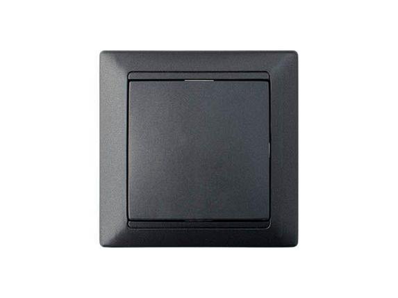 Выключатель 1 клав. с самовозвратом (скрытый, 10А) графит, Стиль, Byletrica, фото 1
