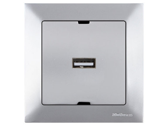 Розетка 1-ая USB (скрытая) серебро, DARIA, MUTLUSAN, фото 1