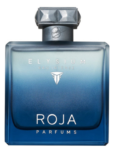 ROJA DOVE ELYSIUM EAU INTENSE парфюмерная вода (мужские) 100ml