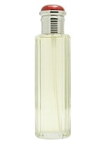 BURBERRY SOCIETY парфюмерная вода (женские) 50ml