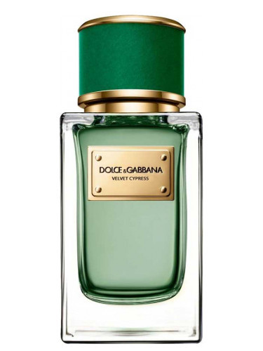 DOLCE & GABBANA VELVET CYPRESS парфюмерная вода (унисекс) 50ml *Уценка