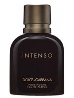 DOLCE & GABBANA POUR HOMME INTENSO парфюмерная вода (мужские) 200ml