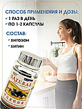 Хитозан мягкие капсулы Natural Работа ЖКТ, вывод токсинов, чистка крови, снижение сахара 500 мг, 100 шт., фото 6