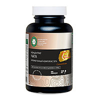 Концентрат Чага