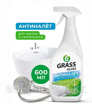 Очиститель Gloss налета и ржавчины 600 мл, фото 1