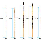 Набор кистей ArtSpace, 5шт., белка, круглые, № 1, 2, 3, 4, 5, блистер, фото 3