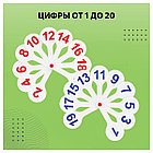 Набор веер-касс, 3шт., гласные, согласные и цифры от 1 до 20, СТАММ, фото 4