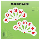 Набор веер-касс, 3шт., гласные, согласные и цифры от 1 до 20, СТАММ, фото 5