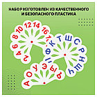 Набор веер-касс, 3шт., гласные, согласные и цифры от 1 до 20, СТАММ, фото 7
