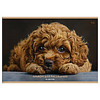 Альбом для рисования 20л., А4, на скрепке BG "Дружок", фото 3