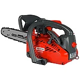 Пила цепная бензиновая EVOline CSG 25-12 ES, фото 2