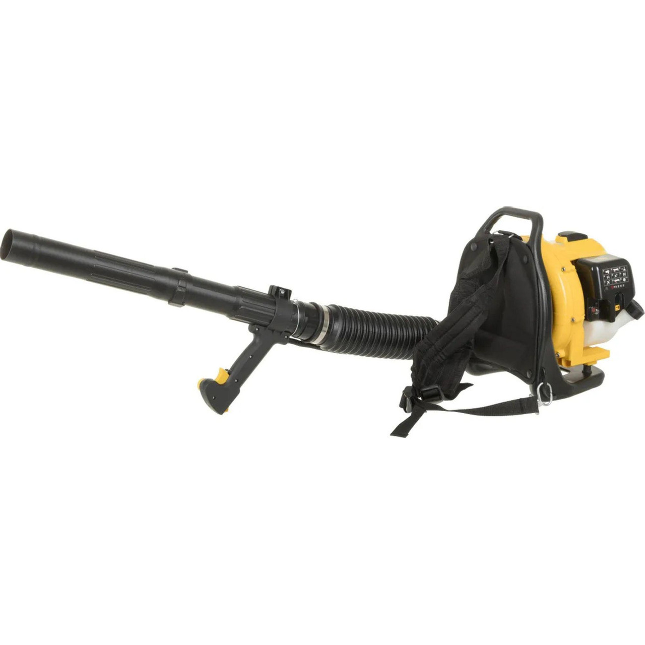 Воздуходув бензиновый CHAMPION GBR333, 0,9 кВт, фото 1