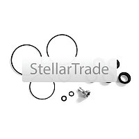 Набор клапанов для бассейнов Intex 25013 (1 клапан и 11 уплотнительных резинок в наборе)