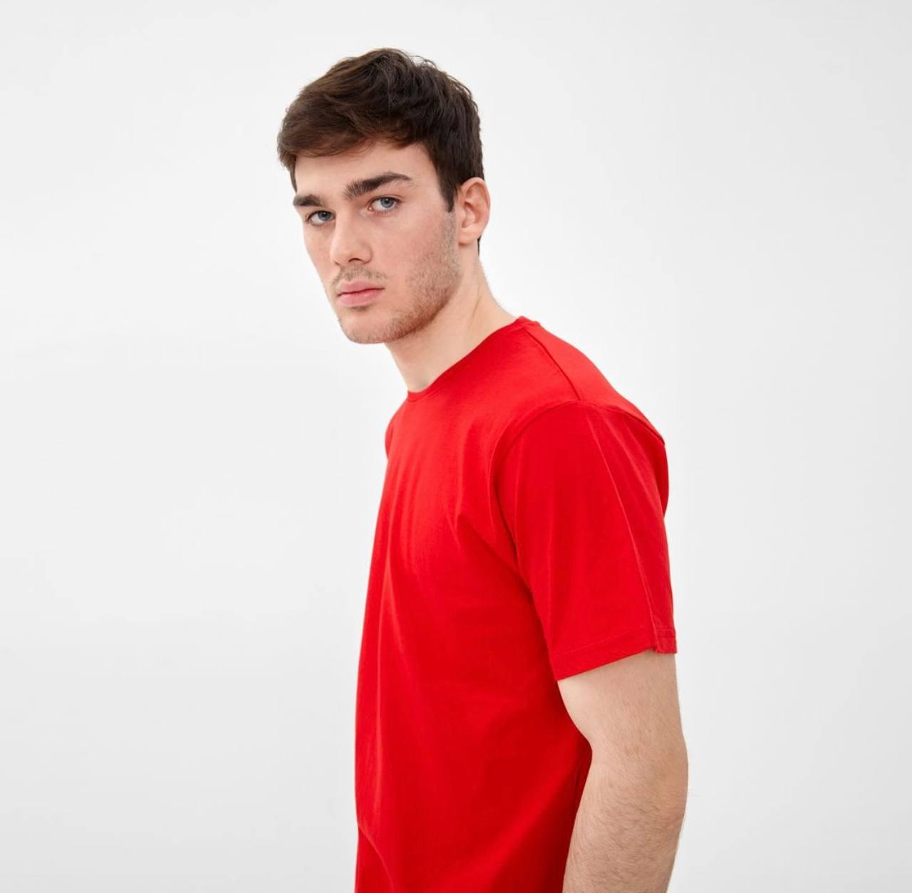 Мужские футболки 100% холопок плотность 120 гр - фото 1 - id-p128178116