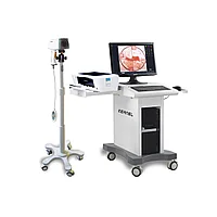 Автомеханик әйелдер эротикасы