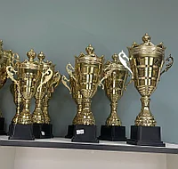 Кубок НЕАПОЛЬ 30 см